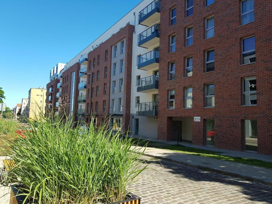 Olin Apartament B - Gdansk Angielska Grobla Eksteriør billede